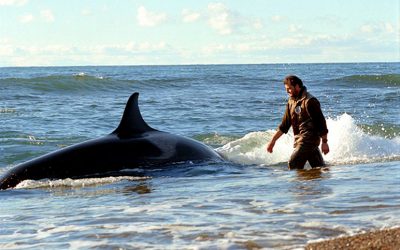 O injustiçado encantador de orcas selvagens