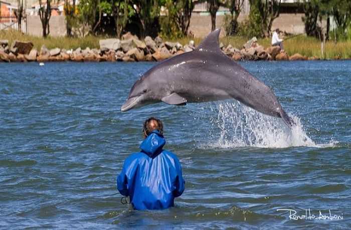 A cidade que adotou como símbolo os golfinhos que ajudam os pescadores