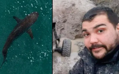 Da terra para o mar: o motociclista que foi parar dentro de um tubarão